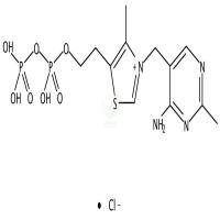 硫胺素焦磷酸  CAS号：154-87-0