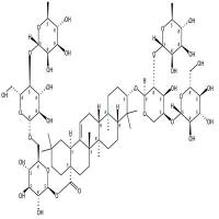 革叶常春藤皂苷E  CAS号：33783-82-3