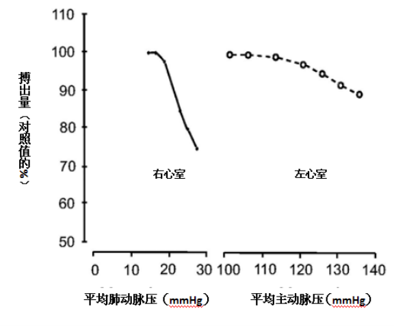 图片预览