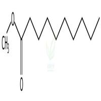 癸酸甲酯  CAS号：110-42-9