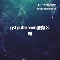 gstpulldown服务公司