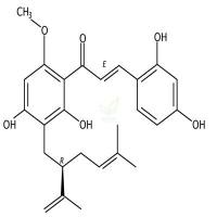 次苦参素  CAS号：34981-25-4