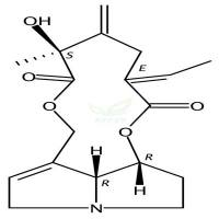 Spartioidine  CAS号：520-59-2