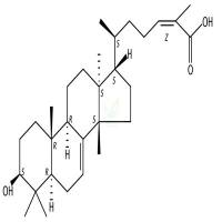 乳香二烯酮酸  CAS号：472-30-0
