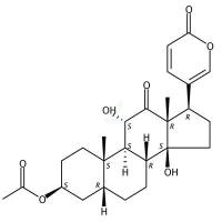 乙酰沙蟾毒精  CAS号：184673-79-8