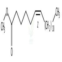顺式-6-十八烯酸甲酯  CAS号：2777-58-4