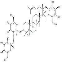 越南人参皂苷R3  CAS号：156012-92-9