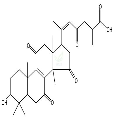 灵芝烯酸H  CAS号：120462-48-8