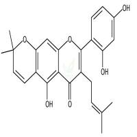 Cudraflavone B  CAS号：19275-49-1