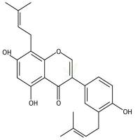 Isolupalbigenin CAS号:162616-70-8
