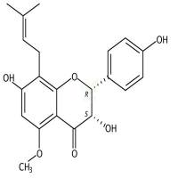 CAS号：1966944-04-6