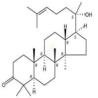 Dipterocarpol  CAS号：471-69-2