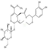 女贞果苷C  CAS号：354553-73-4