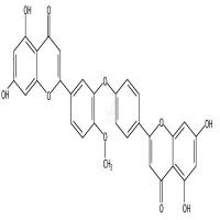 4´-甲基醚金连木黄酮  CAS号：49619-87-6