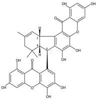 Griffipavixanthone  CAS号：219649-95-3
