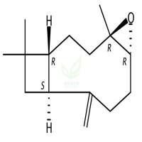 氧化石竹烯  CAS号：1139-30-6