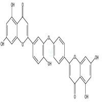 金银花双黄酮  CAS号：50276-96-5