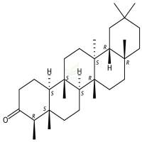 木栓酮  CAS号：559-74-0