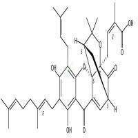 新藤黄酸   CAS号：173932-75-7