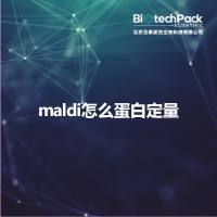 maldi怎么蛋白定量