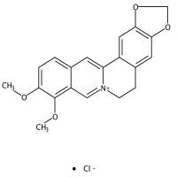 盐酸小檗碱  CAS号：633-65-8