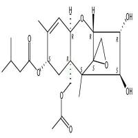 HT-2毒素  CAS号：26934-87-2