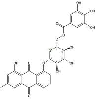 大黄酚-8-O-(6´-O-没食子酰)-吡喃葡萄糖苷  CAS号：266997-57-3