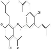 5-羟基广豆根素  CAS号：90686-12-7