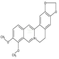 小檗碱  CAS号：2086-83-1
