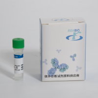 原核、真核表达系统