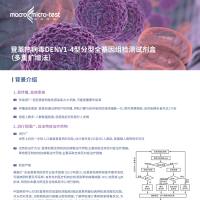 登革热病毒DENV1-4型分型全基因组检测试剂盒