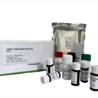 Evergreen玉米赤霉烯酮检测试剂盒	