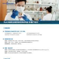 甲乙流通用全基因组检测试剂盒（多重扩增法）