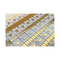 Micrux 薄膜微电极/微阵列电极/叉指电极