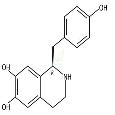 (R)-(+)-Higenamine  CAS号：106032-53-5