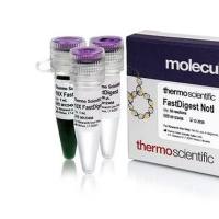 TurboFect Transfection Reagent，turbofect转染试剂