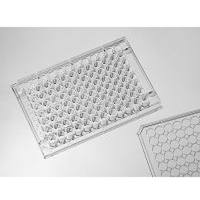 040096 in vitro scientific 96孔悬浮细胞培养板-不做TC处理