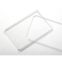 040001 in vitro scientific 1孔悬浮细胞培养板-不做TC处理