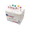 恶臭假单胞菌PCR检测试剂盒