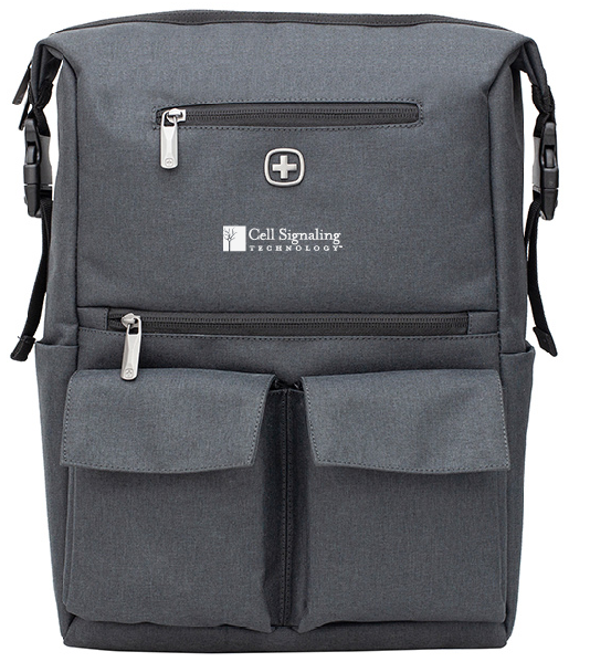 CST博士云讲座 |武汉大学宋保亮院士开启新学期第一课