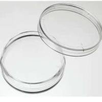 010035 in vitro scientific 35mm细胞培养皿