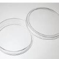 010100 in vitro scientific100mm细胞培养皿