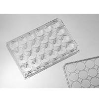 040024 in vitro scientific 24孔悬浮细胞培养板-不做TC处理