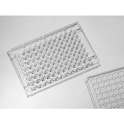 020096 in vitro scientific 96孔细胞培养板