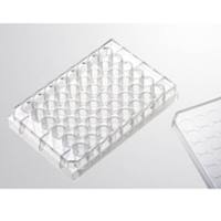 020048  in vitro scientific  48孔细胞培养板