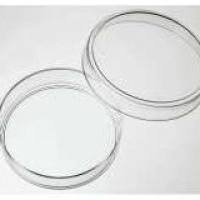 010060 in vitro scientific 60mm细胞培养皿