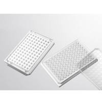 062096 in vitro scientific 96孔分析板-白色透明底细胞培养板（康宁3610，3903，nunc165306）