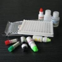人甲/胺喋呤(MTX)ELISA试剂盒 