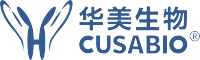 兔抗人热休克因子结合蛋白 1多克隆抗体