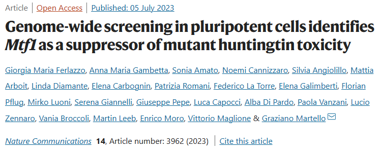 科研赋能丨云舟生物助力意大利帕瓦多大学发现突变亨廷顿蛋白毒性的抑制分子